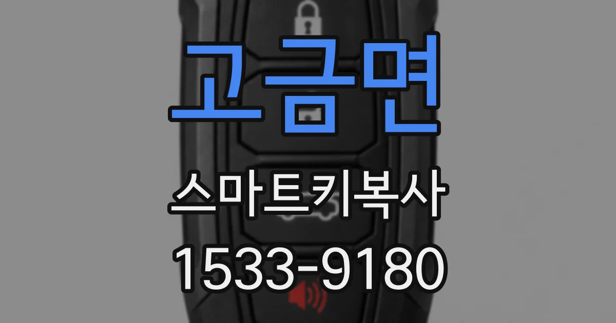 고금면 스마트키복사