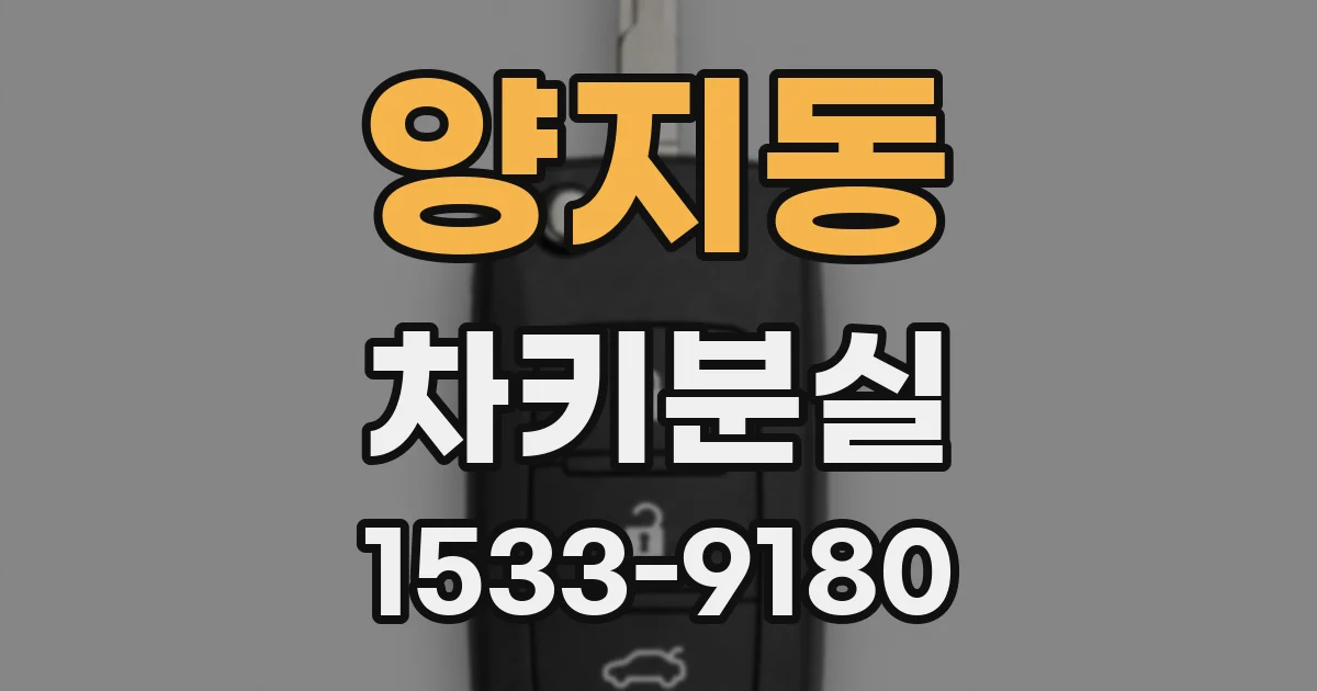양지동 차키분실
