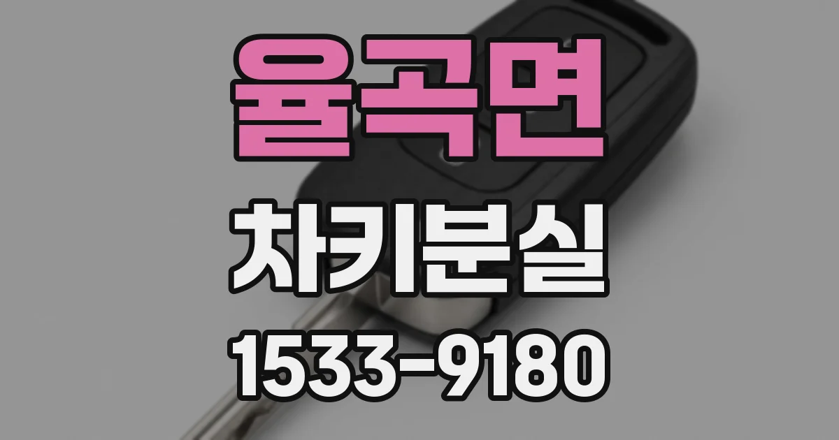 율곡면 차키분실