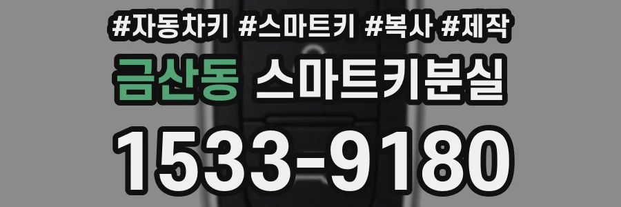 금산동 스마트키분실