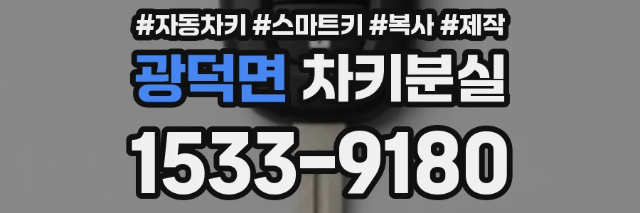광덕면 차키분실