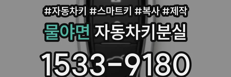 물야면 자동차키분실