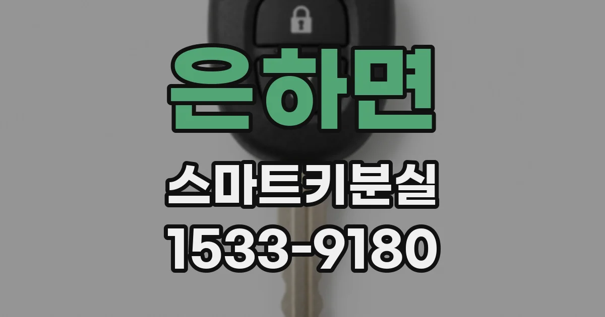 은하면 스마트키분실