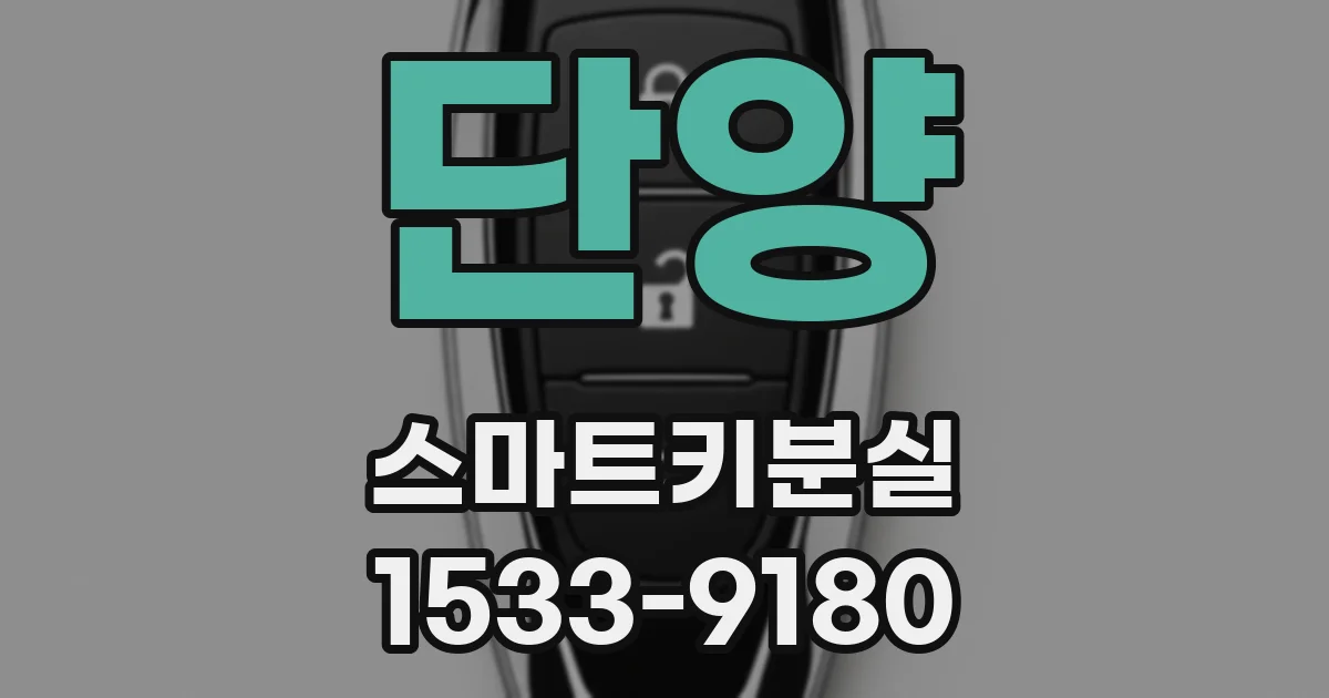 단양 스마트키분실