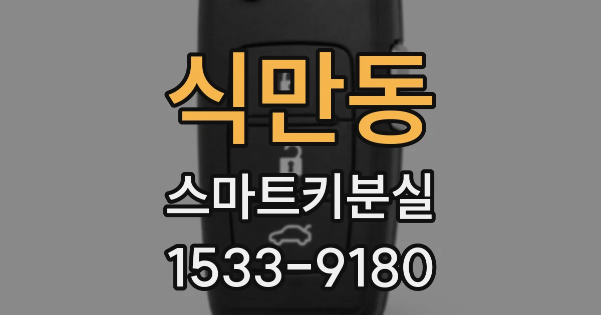 식만동 스마트키분실
