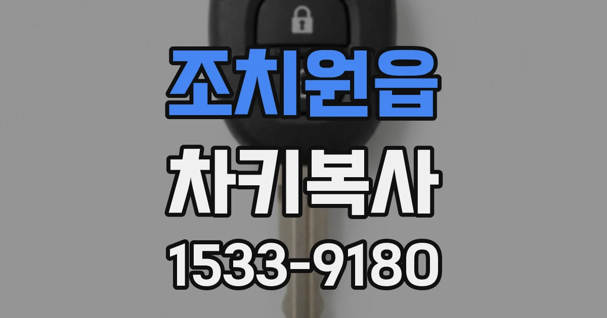 조치원읍 차키복사