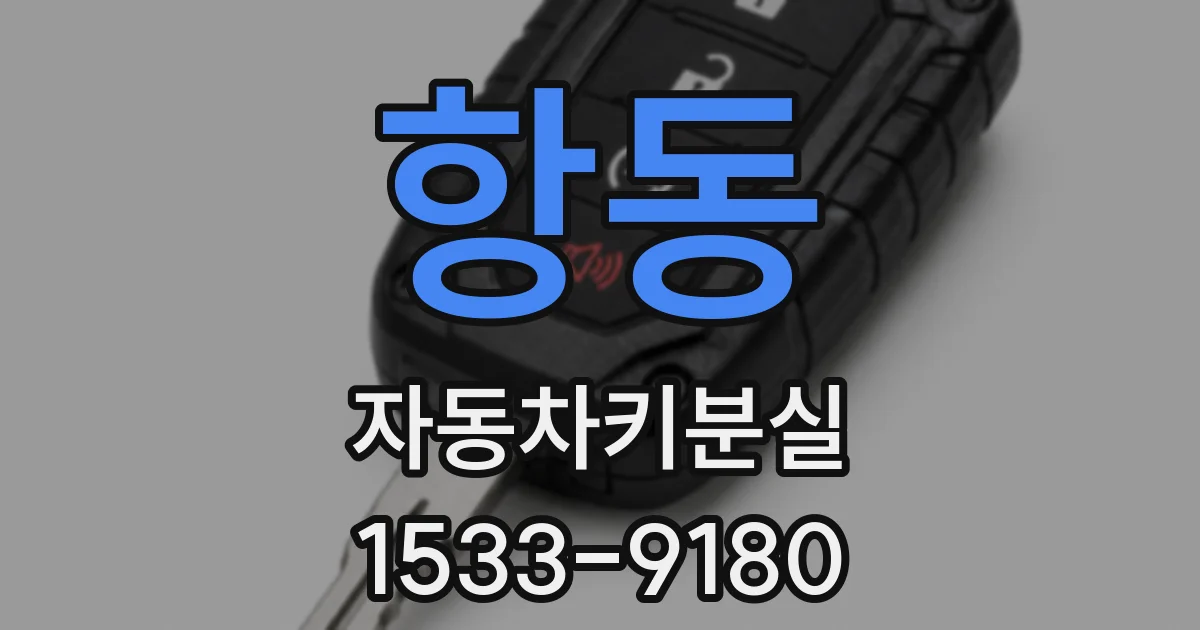 항동 자동차키분실