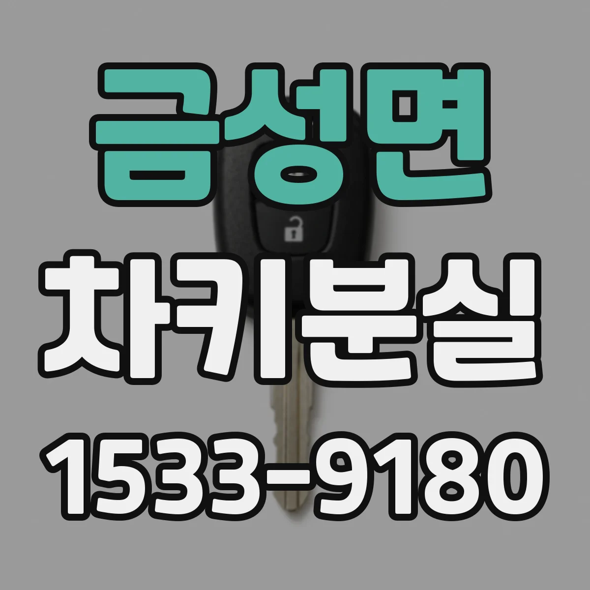 금성면 차키분실