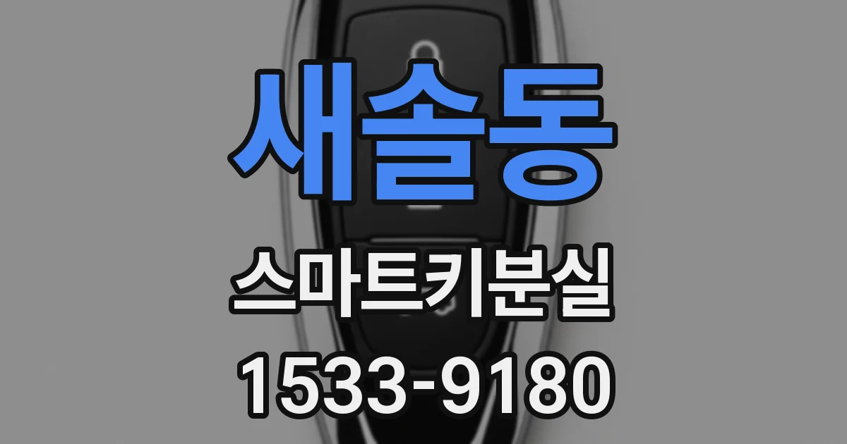 새솔동 스마트키분실