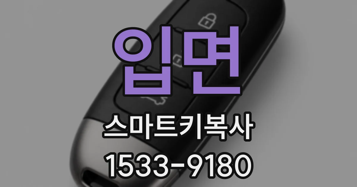 입면 스마트키복사