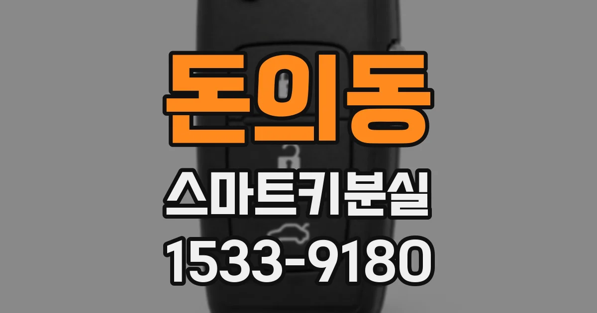 돈의동 스마트키분실