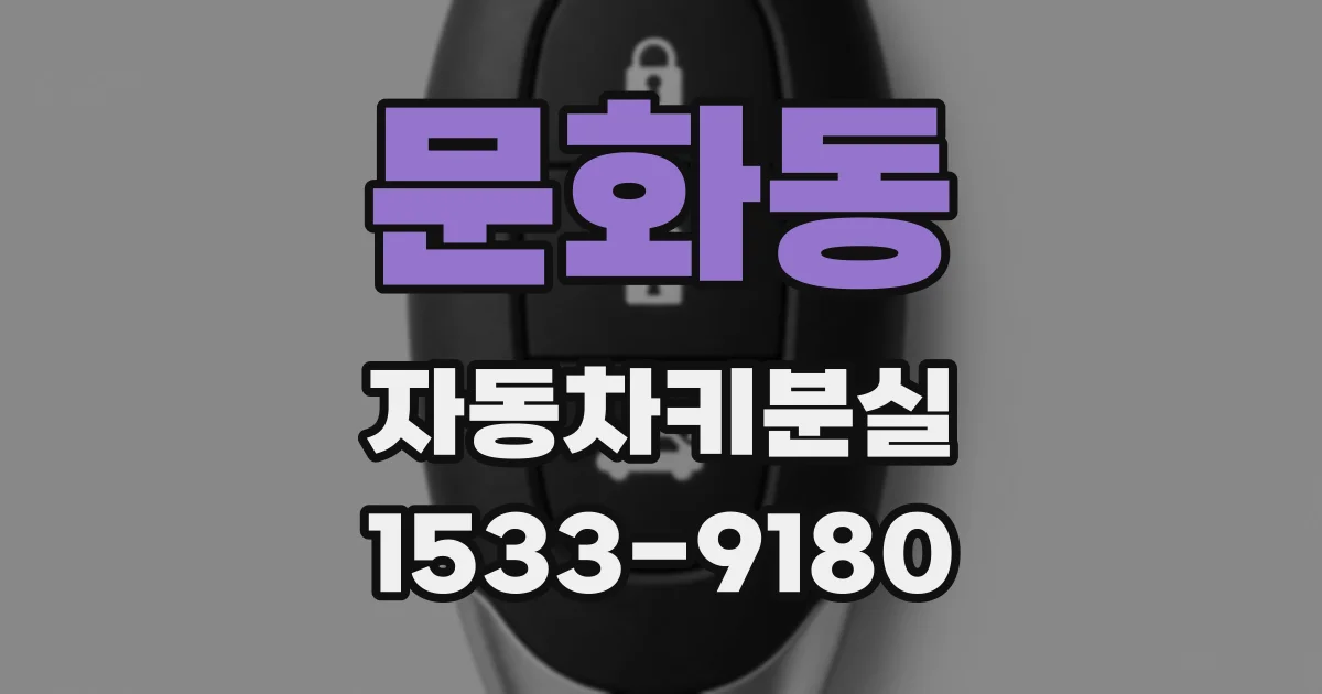 문화동 자동차키분실