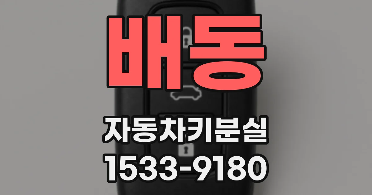 배동 자동차키분실