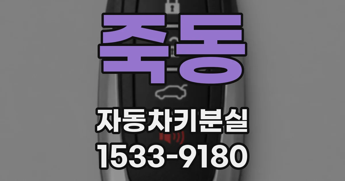 죽동 자동차키분실