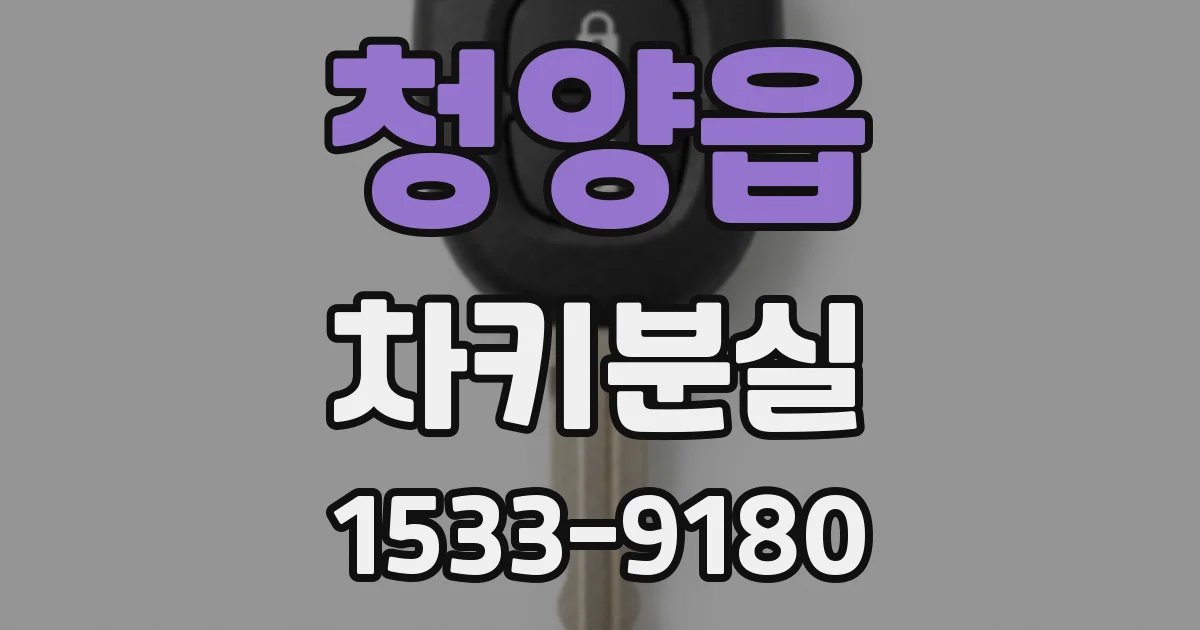 청양읍 차키분실