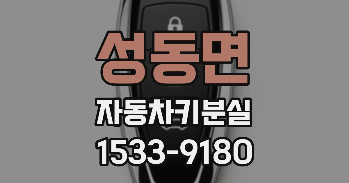 성동면 자동차키분실