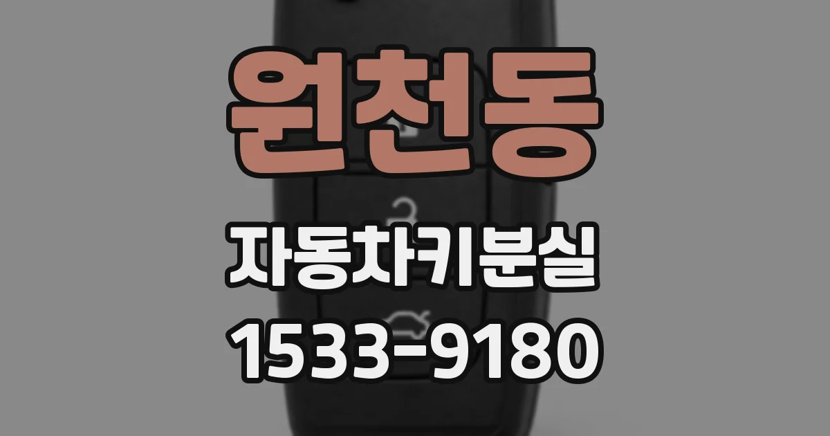 원천동 자동차키분실