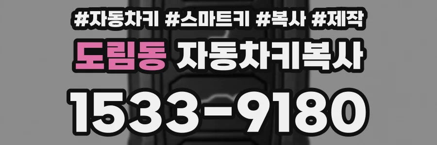 도림동 자동차키복사