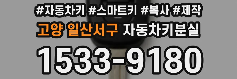 고양 일산서구 자동차키분실