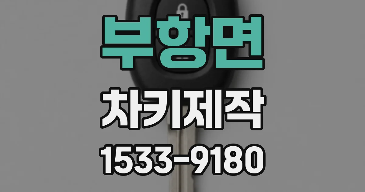 부항면 차키제작