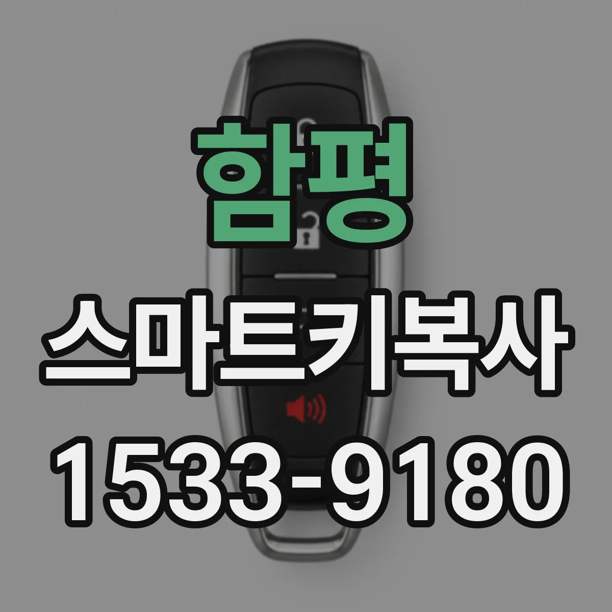 함평 스마트키복사