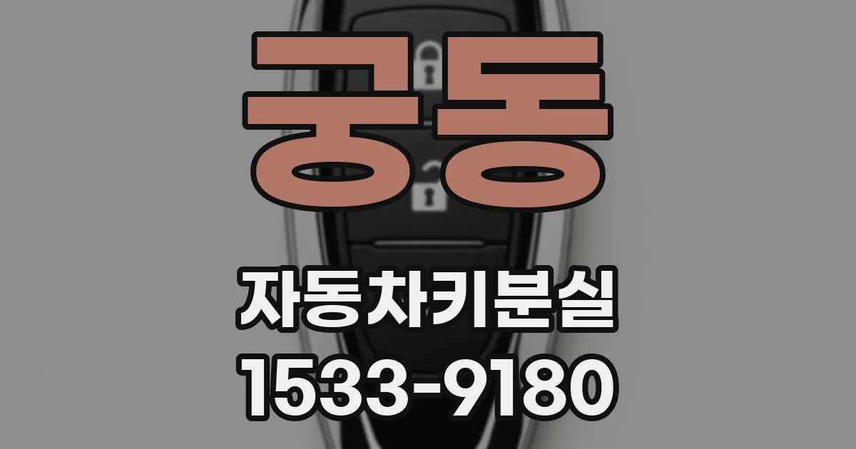 궁동 자동차키분실