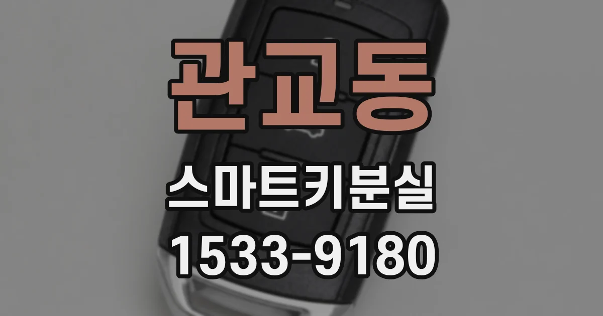 관교동 스마트키분실