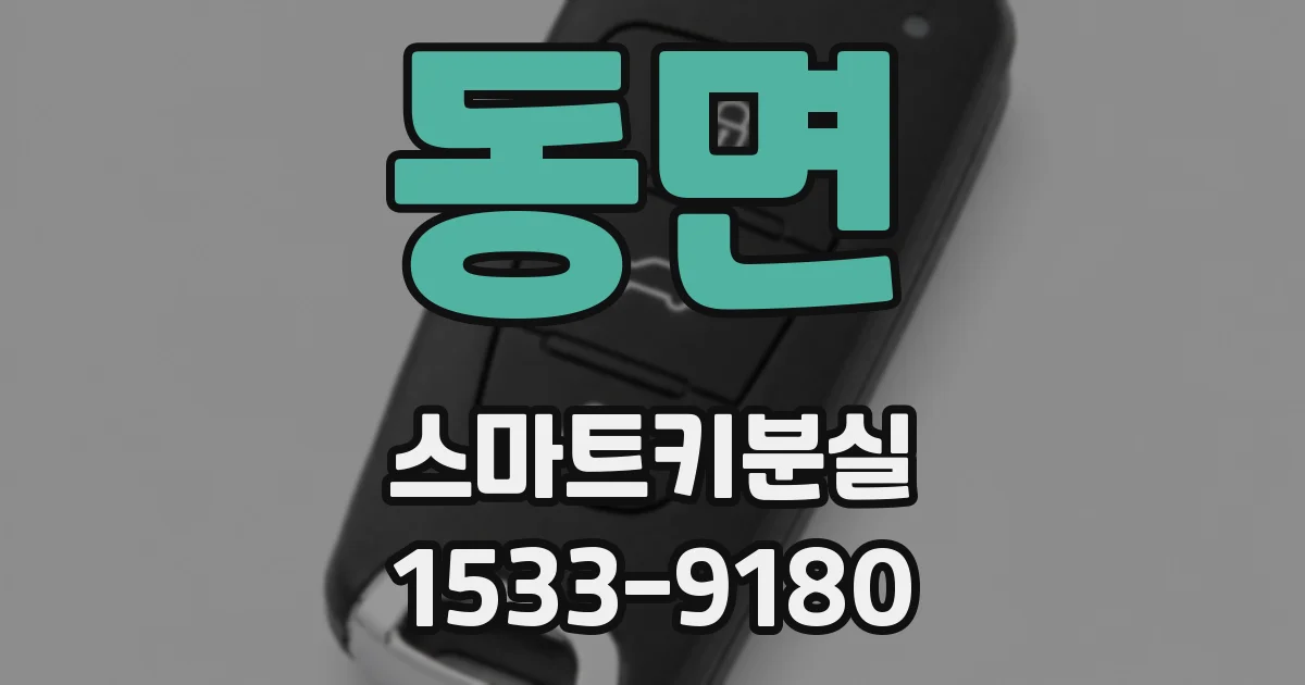 동면 스마트키분실