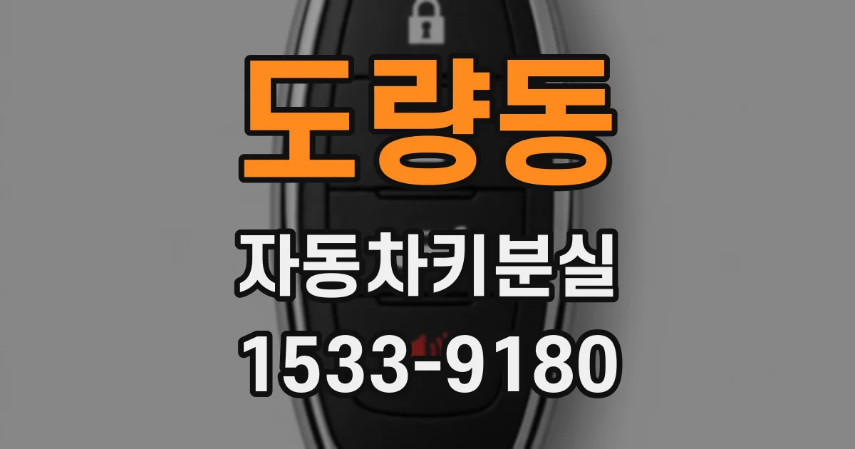 도량동 자동차키분실