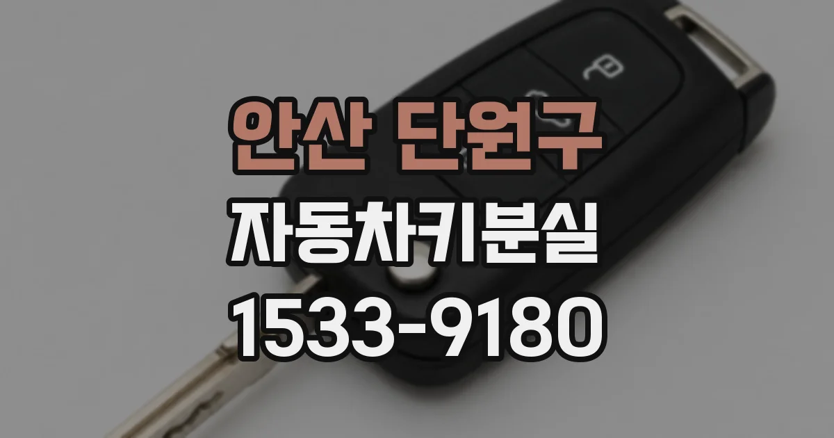 안산 단원구 자동차키분실