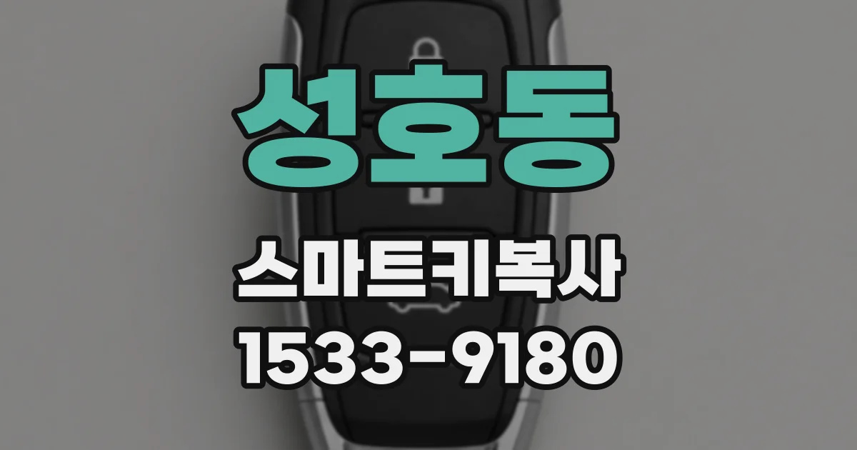 성호동 스마트키복사