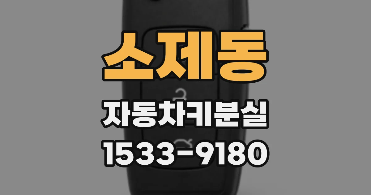 소제동 자동차키분실