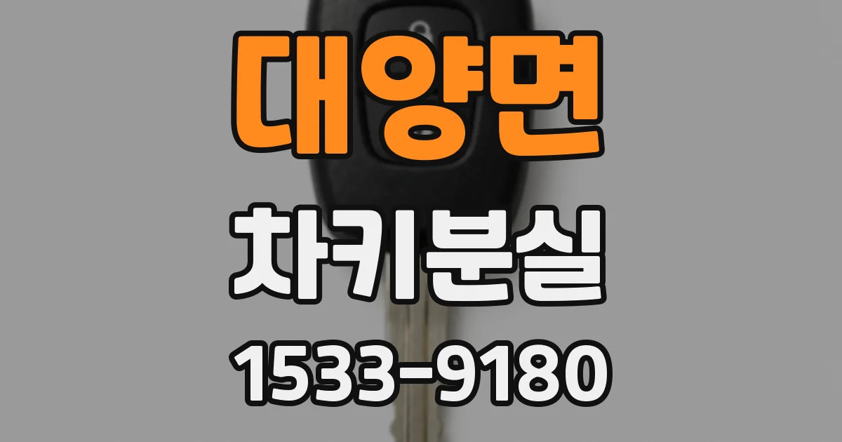 대양면 차키분실
