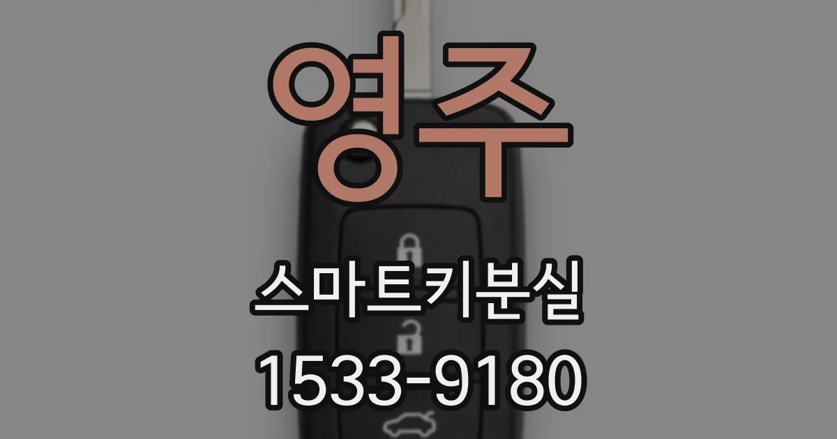 영주 스마트키분실