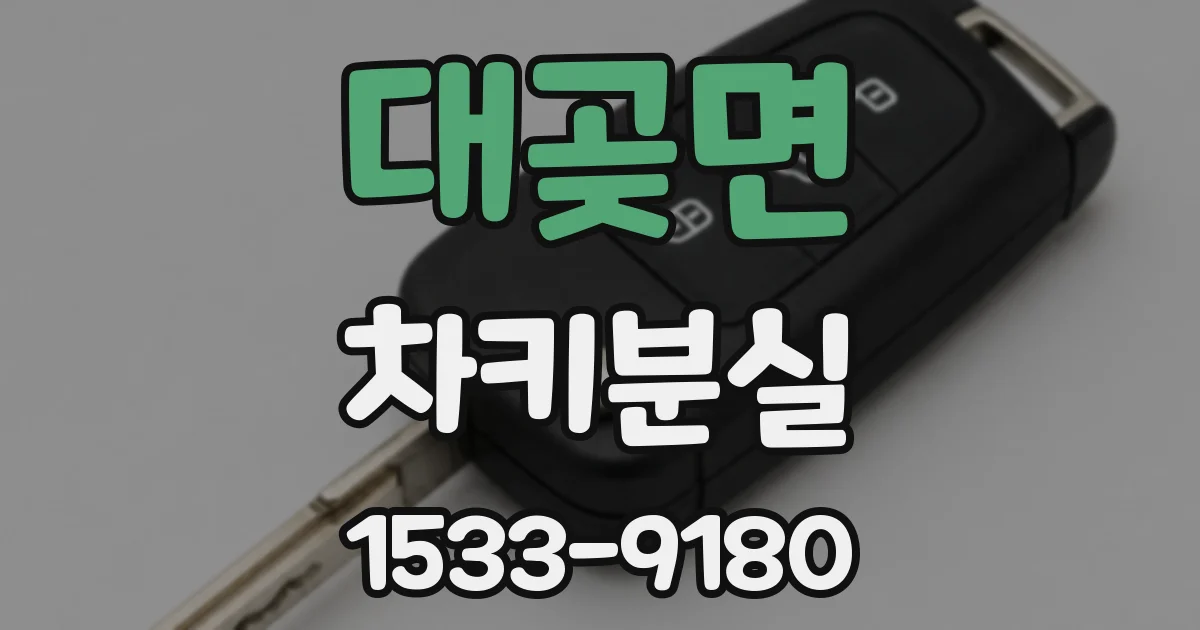 대곶면 차키분실