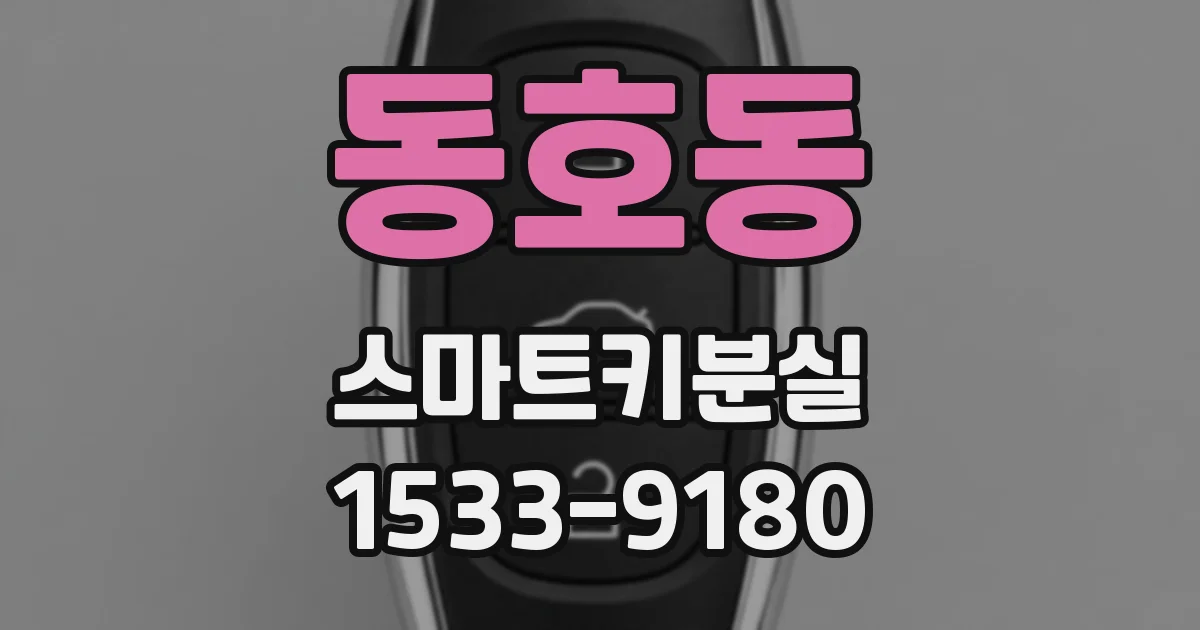 동호동 스마트키분실