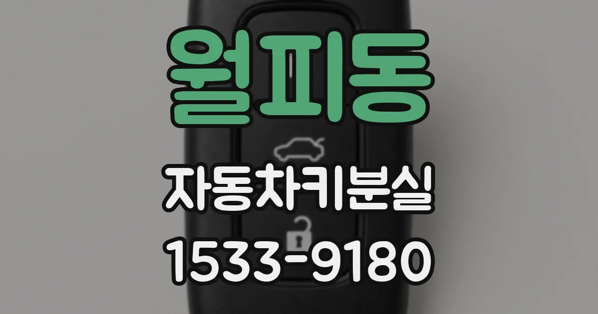 월피동 자동차키분실