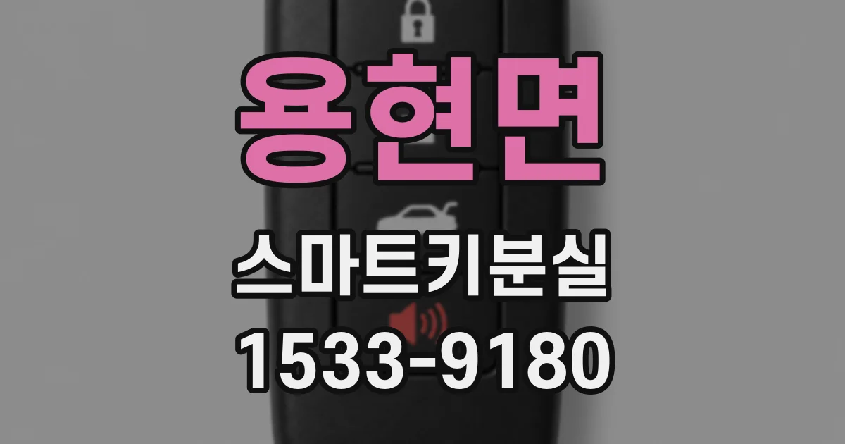 용현면 스마트키분실