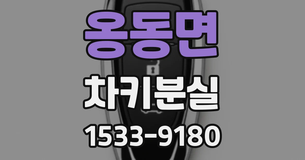 옹동면 차키분실
