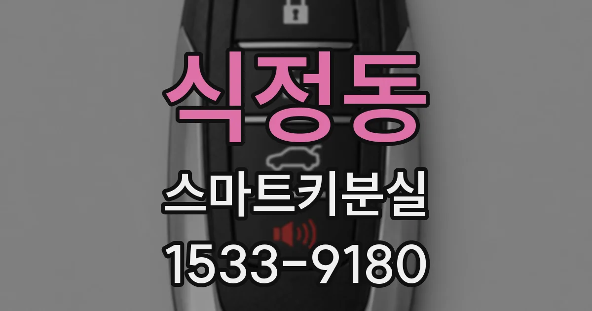 식정동 스마트키분실