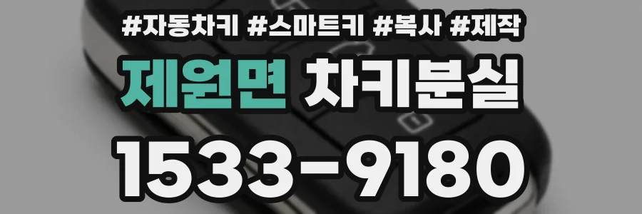제원면 차키분실