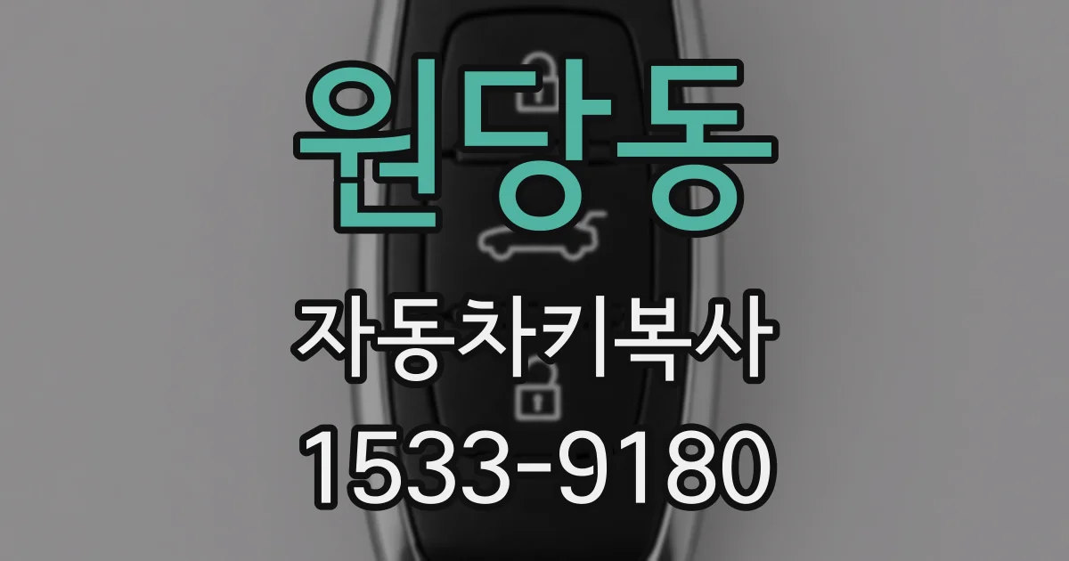 원당동 자동차키복사