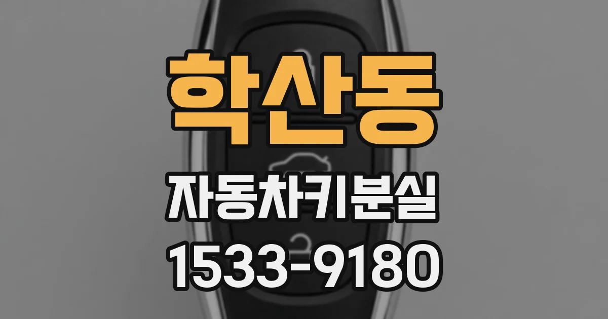 학산동 자동차키분실