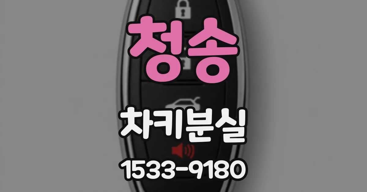 청송 차키분실