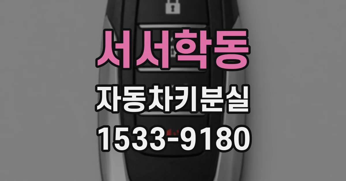 서서학동 자동차키분실