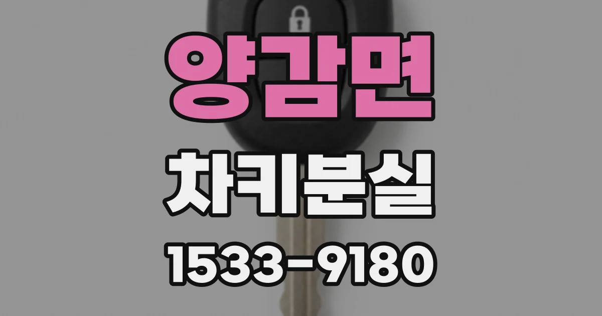 양감면 차키분실