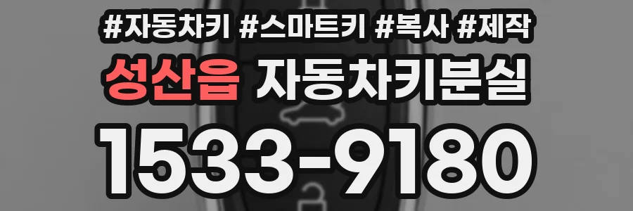 성산읍 자동차키분실