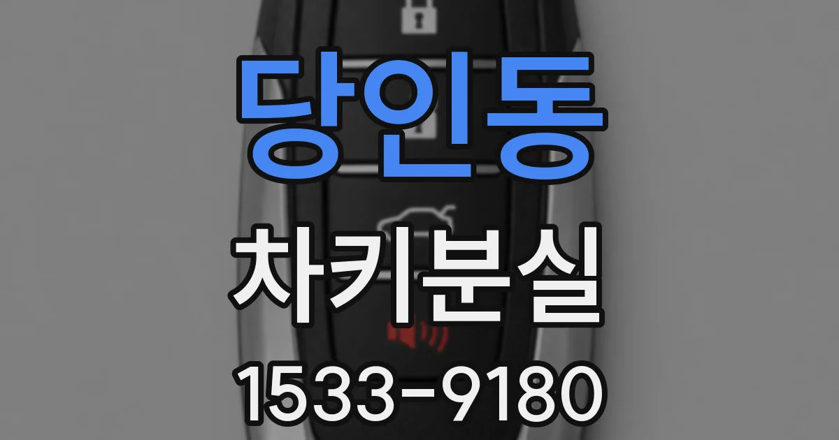 당인동 차키분실