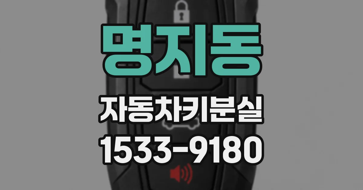 명지동 자동차키분실