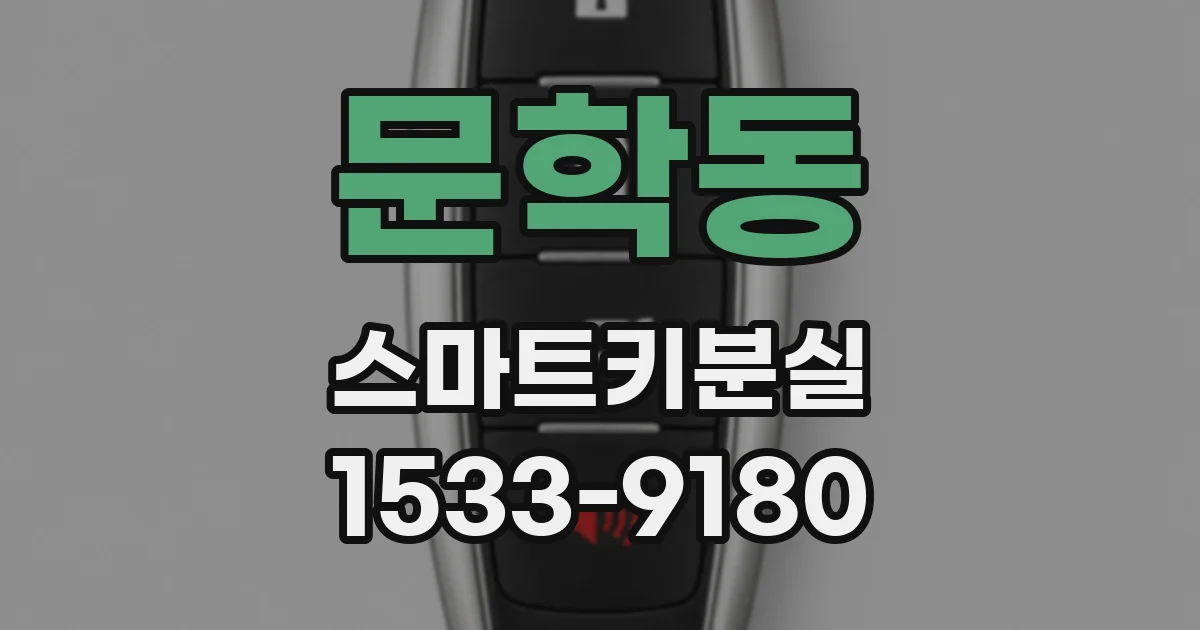 문학동 스마트키분실